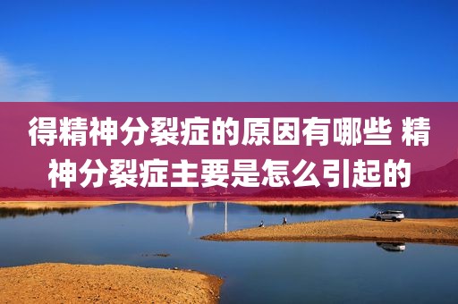 得精神分裂症的原因有哪些 精神分裂症主要是怎么引起的