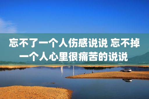 忘不了一个人伤感说说 忘不掉一个人心里很痛苦的说说 