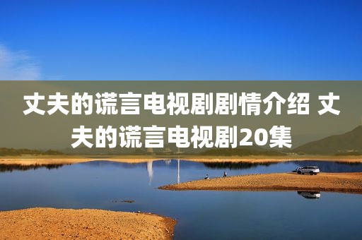 丈夫的谎言电视剧剧情介绍 丈夫的谎言电视剧20集