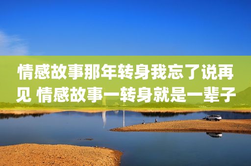 情感故事那年转身我忘了说再见 情感故事一转身就是一辈子