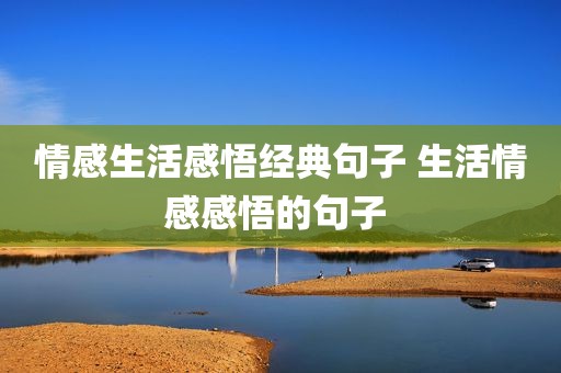 情感生活感悟经典句子 生活情感感悟的句子 