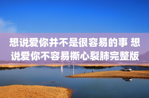 想说爱你并不是很容易的事 想说爱你不容易撕心裂肺完整版