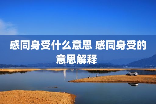 感同身受什么意思 感同身受的意思解释 