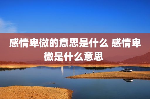 感情卑微的意思是什么 感情卑微是什么意思 