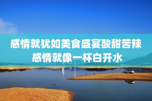 感情就犹如美食盛宴酸甜苦辣 感情就像一杯白开水