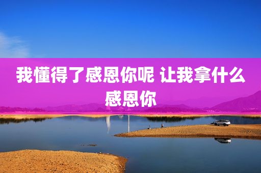 我懂得了感恩你呢 让我拿什么感恩你