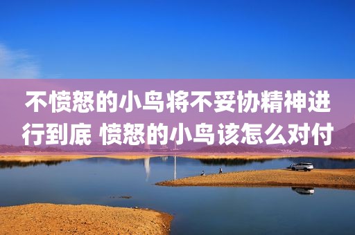 不愤怒的小鸟将不妥协精神进行到底 愤怒的小鸟该怎么对付