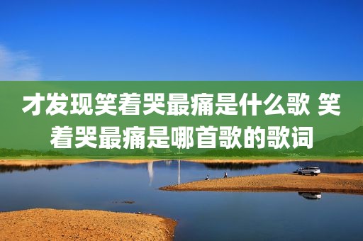 才发现笑着哭最痛是什么歌 笑着哭最痛是哪首歌的歌词