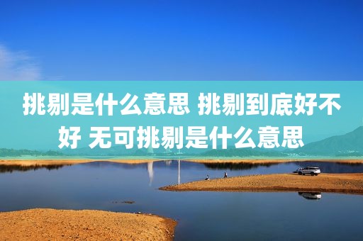挑剔是什么意思 挑剔到底好不好 无可挑剔是什么意思