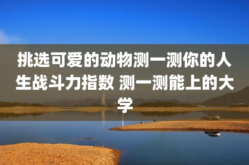 挑选可爱的动物测一测你的人生战斗力指数 测一测能上的大学