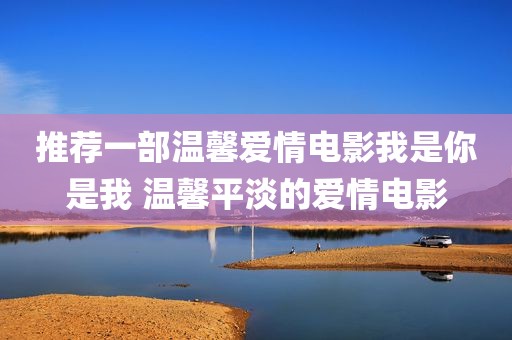 推荐一部温馨爱情电影我是你是我 温馨平淡的爱情电影