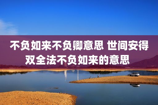 不负如来不负卿意思 世间安得双全法不负如来的意思 
