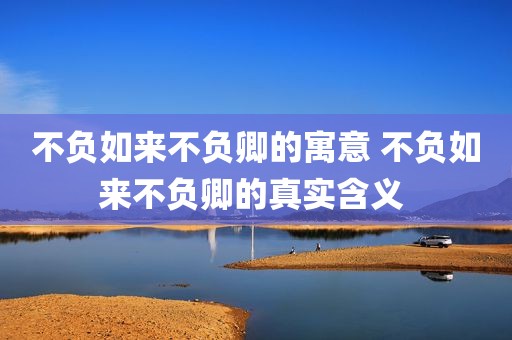 不负如来不负卿的寓意 不负如来不负卿的真实含义 