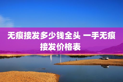 无痕接发多少钱全头 一手无痕接发价格表 