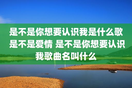 是不是你想要认识我是什么歌 是不是爱情 是不是你想要认识我歌曲名叫什么
