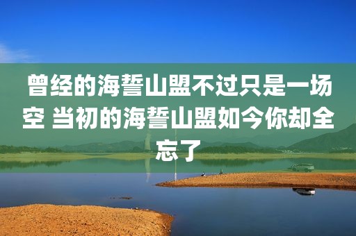 曾经的海誓山盟不过只是一场空 当初的海誓山盟如今你却全忘了