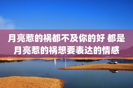 月亮惹的祸都不及你的好 都是月亮惹的祸想要表达的情感