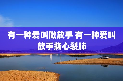 有一种爱叫做放手 有一种爱叫放手撕心裂肺
