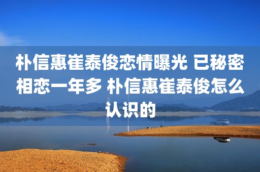 朴信惠崔泰俊恋情曝光 已秘密相恋一年多 朴信惠崔泰俊怎么认识的