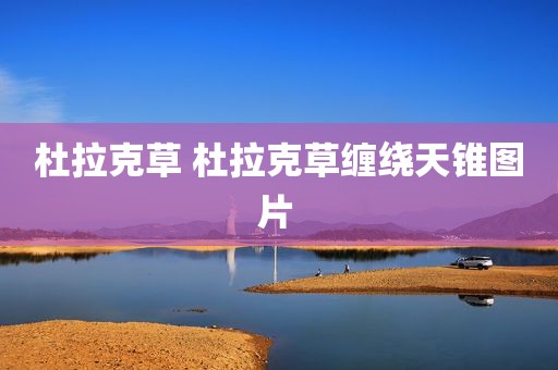 杜拉克草 杜拉克草缠绕天锥图片 