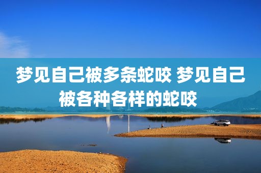 梦见自己被多条蛇咬 梦见自己被各种各样的蛇咬 