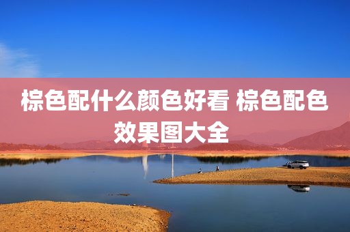 棕色配什么颜色好看 棕色配色效果图大全 