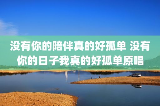没有你的陪伴真的好孤单 没有你的日子我真的好孤单原唱