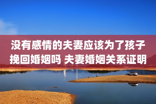没有感情的夫妻应该为了孩子挽回婚姻吗 夫妻婚姻关系证明