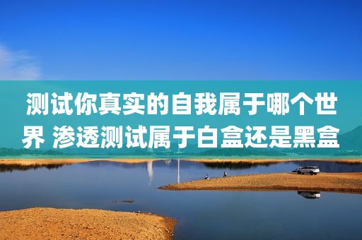 测试你真实的自我属于哪个世界 渗透测试属于白盒还是黑盒