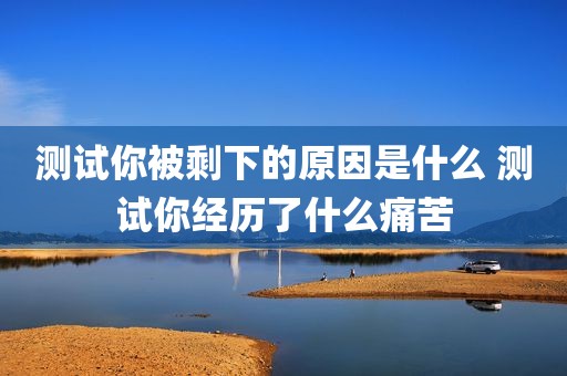 测试你被剩下的原因是什么 测试你经历了什么痛苦
