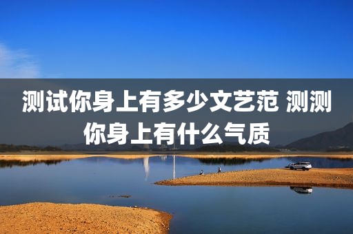 测试你身上有多少文艺范 测测你身上有什么气质