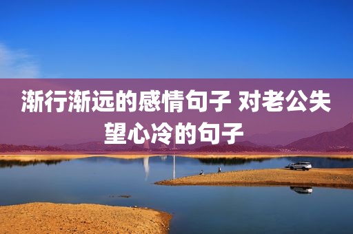渐行渐远的感情句子 对老公失望心冷的句子 