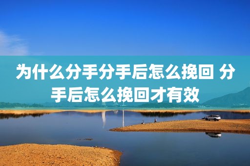 为什么分手分手后怎么挽回 分手后怎么挽回才有效