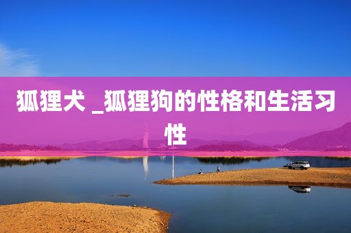 狐狸犬 _狐狸狗的性格和生活习性