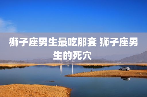 狮子座男生最吃那套 狮子座男生的死穴 