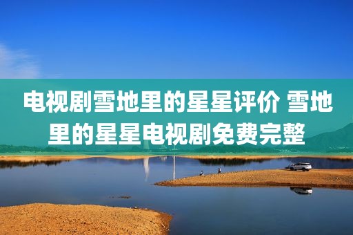 电视剧雪地里的星星评价 雪地里的星星电视剧免费完整