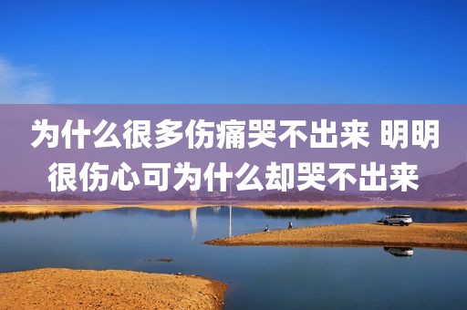 为什么很多伤痛哭不出来 明明很伤心可为什么却哭不出来