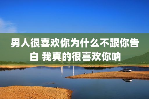 男人很喜欢你为什么不跟你告白 我真的很喜欢你呐