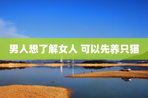 男人想了解女人 可以先养只猫