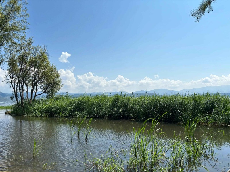 秋冬血压持续超过150？心血管专家支招早上“四做四不做”，附150斤冬季穿搭秘诀