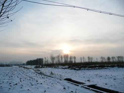 冬日调色盘：解锁属于你的季节情绪密码