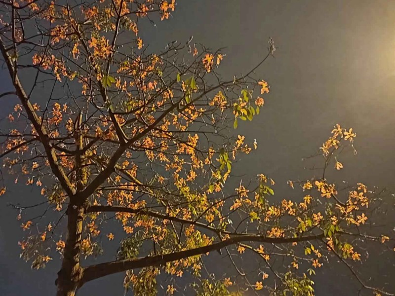 男生穿衣搭配尺码终极指南：男士大衣选搭全攻略，从尺码到风格轻松搞定