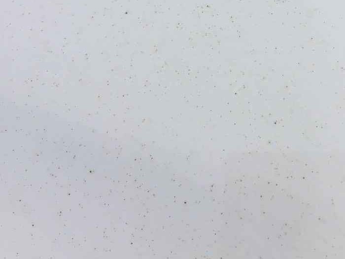 你说的白是什么白：颜色背后的秘密世界