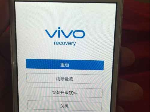 “Revivo”到底啥意思？别急，俺们一起来扒一扒这个词儿的底细