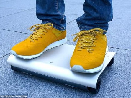 运动鞋究竟啥模样全面解析与选购心得