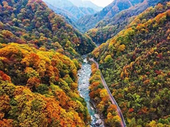 十月出游全攻略：穿衣搭配与7大赏秋旅行地推荐