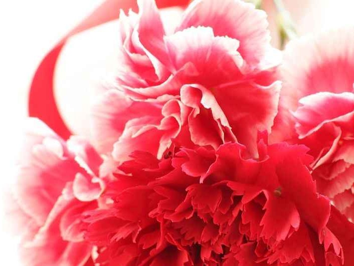 粉色不止温柔，还有你不知道的另一面