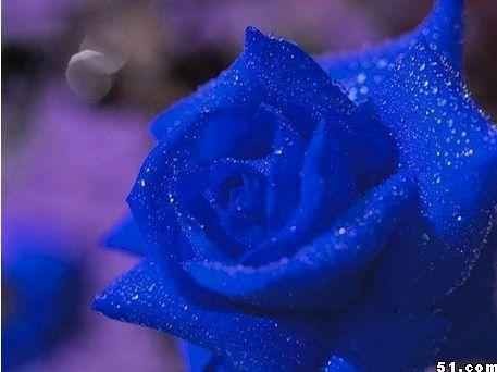 揭秘2026年最治愈的蓝色这样搭美到逆天