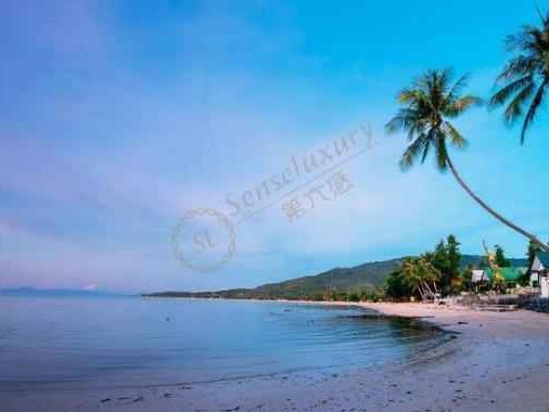 挑对沙滩快乐翻倍，这份避坑指南请收好