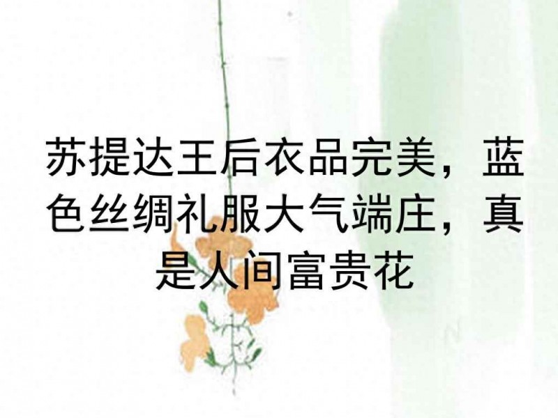 苏提达王后蓝色丝绸礼服惊艳亮相，端庄大气如人间富贵花